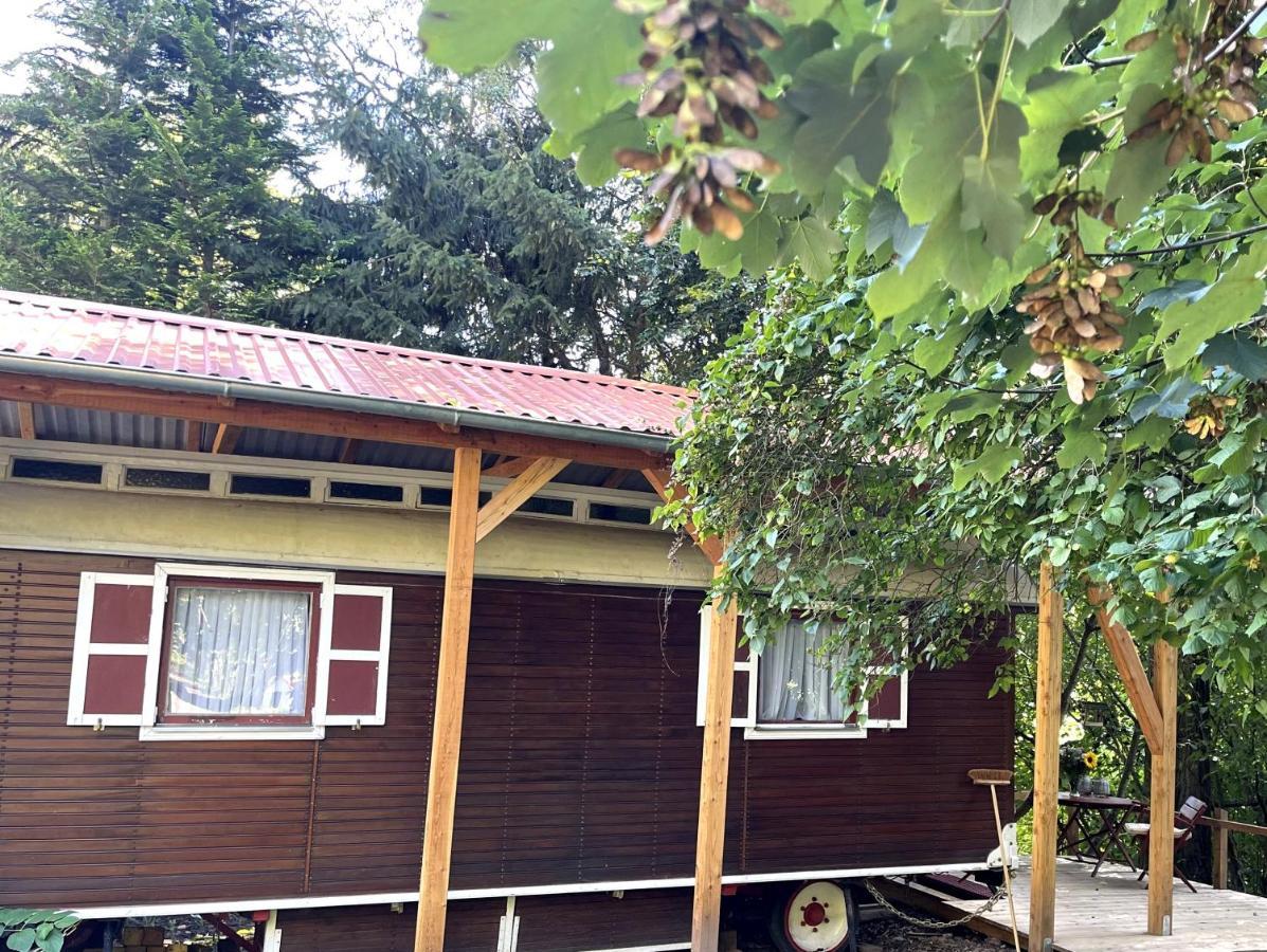 Historischer Zirkuswagen Mit Terrasse Und Blick Ins Gruene Witzenhausen Exterior foto
